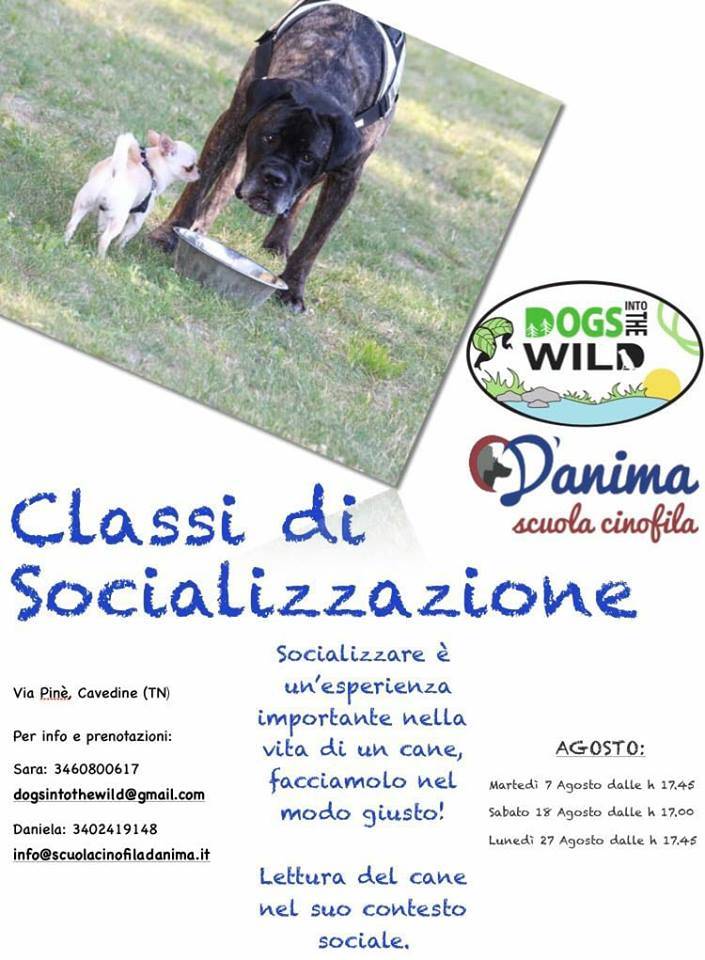 Classi di Socializzazione e Comunicazione